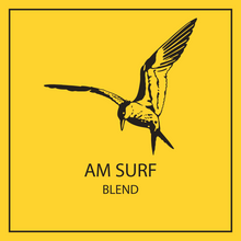 Load image into Gallery viewer, AM SURF
