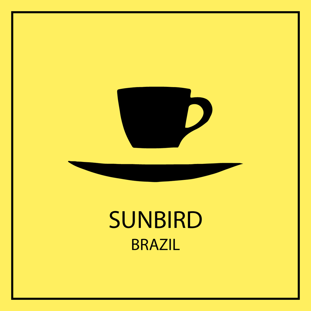 Sunbird - Brazil